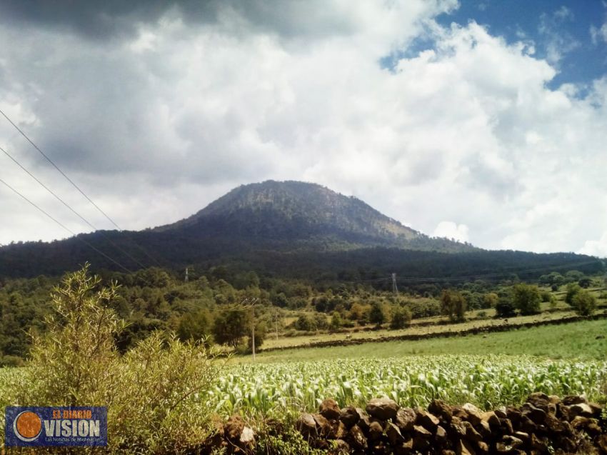 Reforestación rural, a Nahuatzen y Zacapu