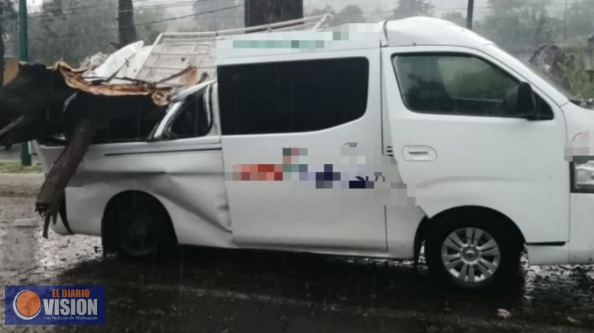 En Tzintzuntzan, fuerte lluvia provoca caída de árboles, daños y heridos 