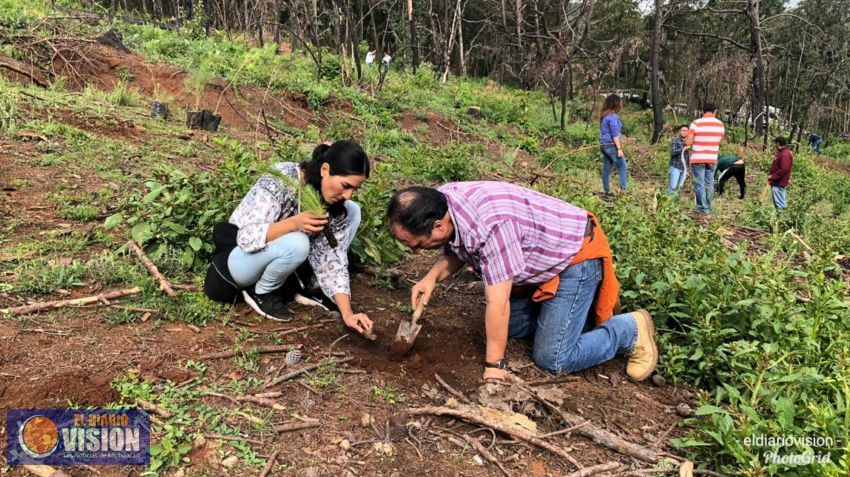 Inician reforestación en Morelia