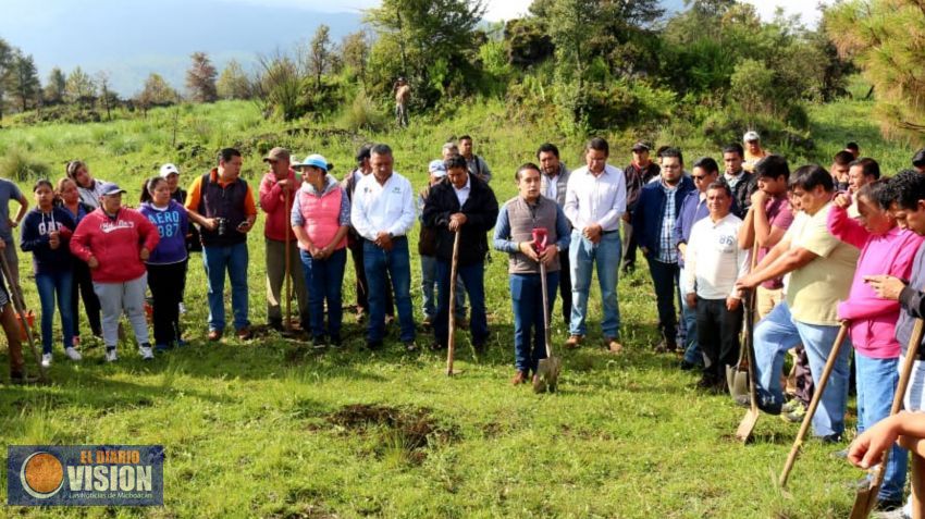 En Paracho, realizan reforestación : José Manuel Caballero 