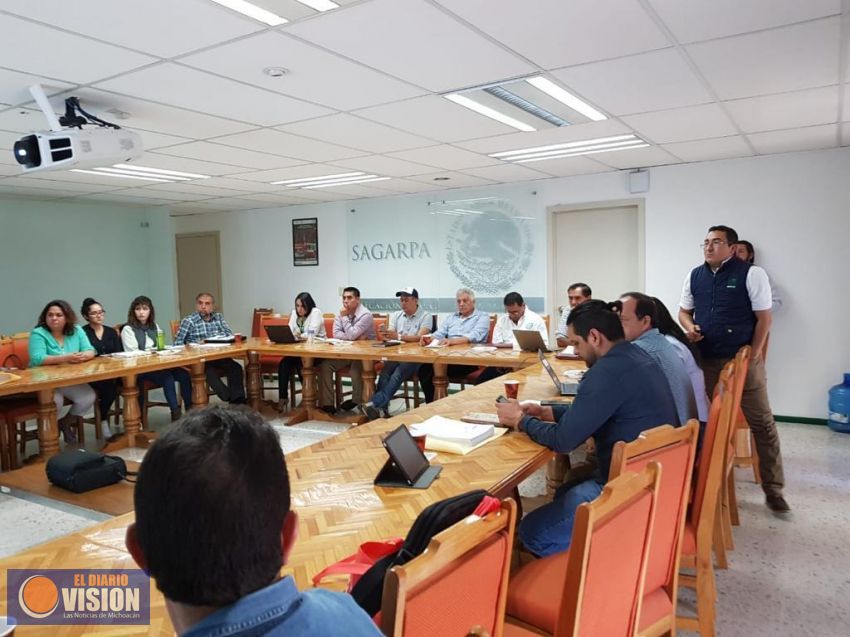 Beneficia federación a 82 mil productores de Michoacán