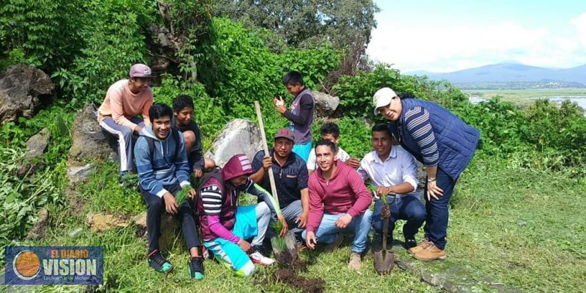 Araceli Saucedo reconoce a los ciudadanos en campaña de reforestación en Isla de Urandén 