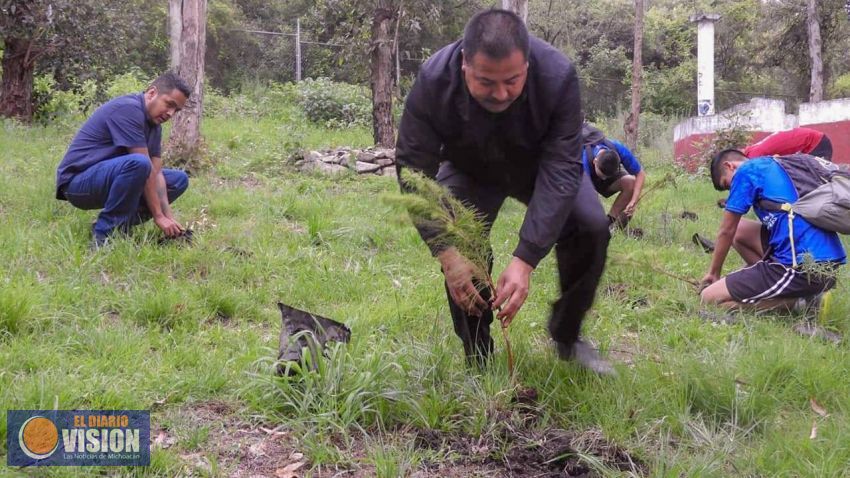 Realizan reforestación en el parque de los Cenadores en Cuitzeo 