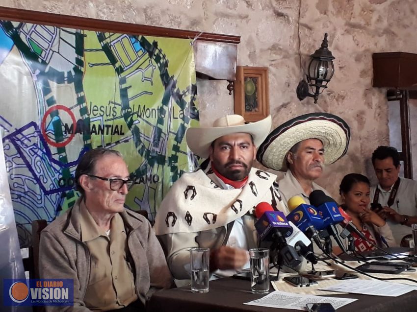 En peligro de desaparecer el humedal 