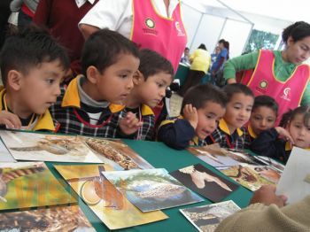 José Miguel Cázarez posiciona su campaña por el distrito de Morelia 16 