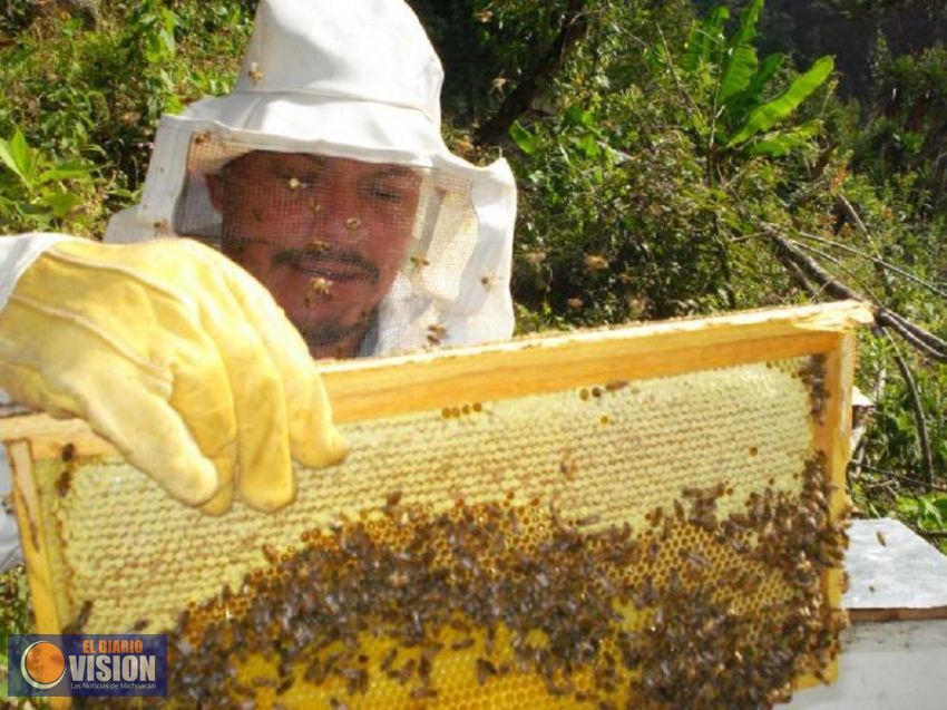 Por su gran calidad, exporta Michoacán 68 por ciento de su miel: Sedrua