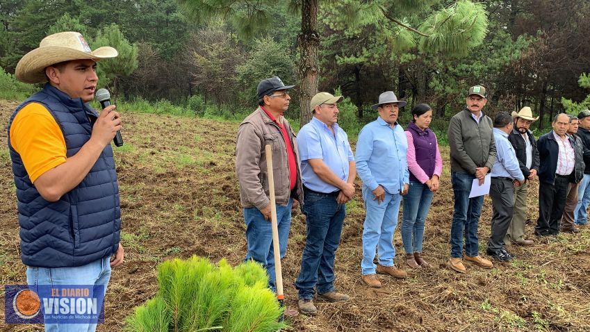 Unen esfuerzos para reforestar la zona de Tingambato