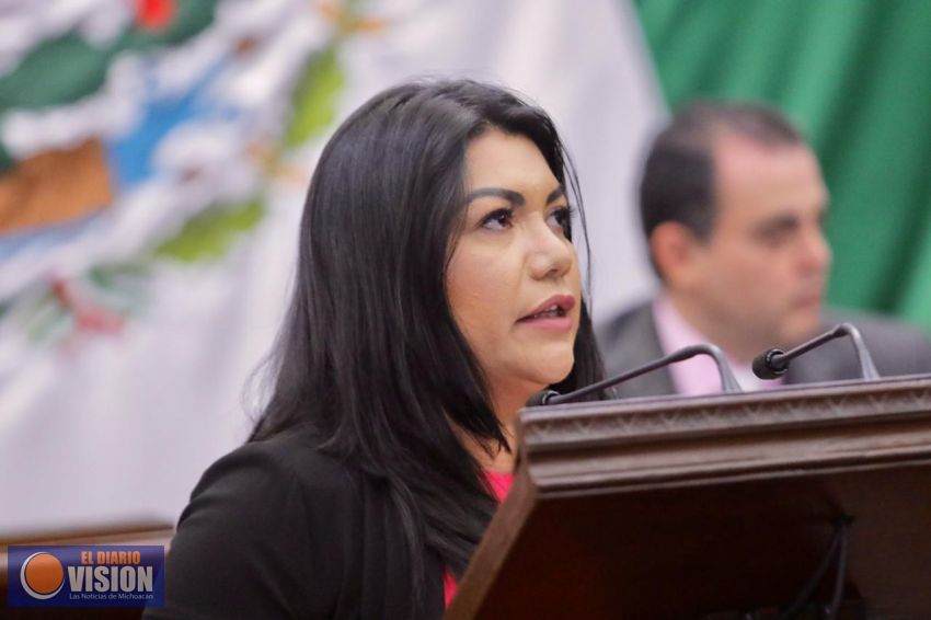 Víctimas de violencia familiar y sexual deben ser atendidas conforme a Norma Oficial: Brenda Fraga