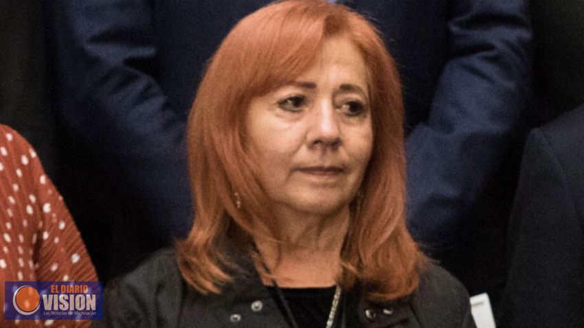 Tras designación de Piedra Ibarra, miembros del Consejo Consultivo renuncian