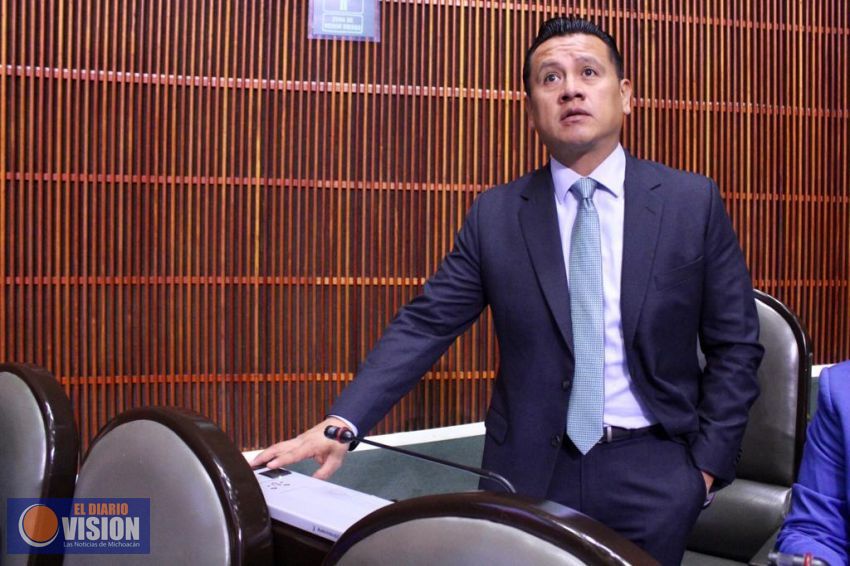 Programas sociales serán prioritarios en el PEF 2020: Torres Piña