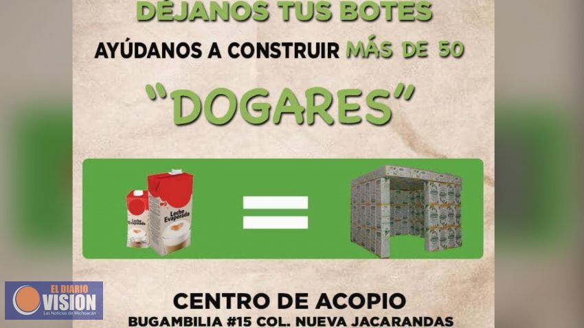 Con cajas recicladas, Partido Verde Michoacán dará un hogar a perros en situación de calle