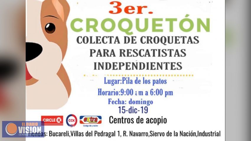 Ayuda en el Tercer Croquetón; el reto es captar una tonelada para alimentar a perros y gatos 