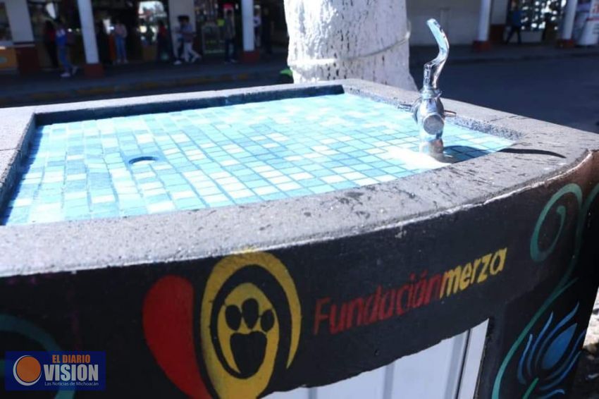 Ayuntamiento de Uruapan, recibió el recurso de Fundación Merza para Bebederos