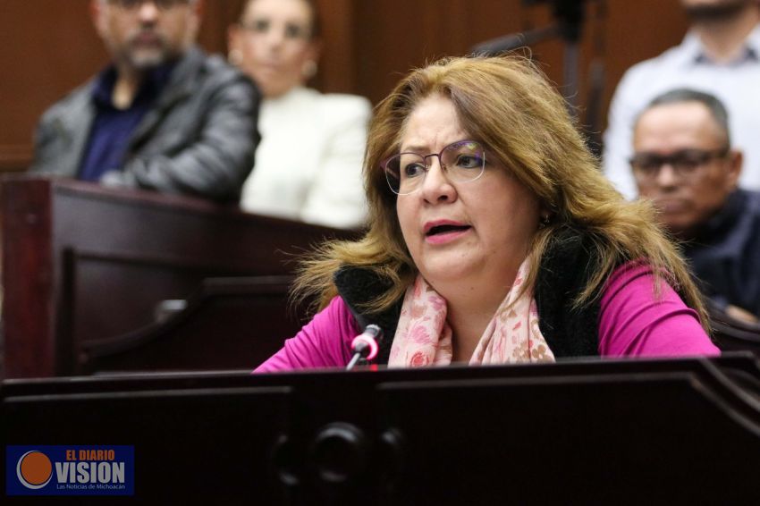 No sólo es ilógico e ilegal contraer nueva deuda, sería inmoral: Cristina Portillo