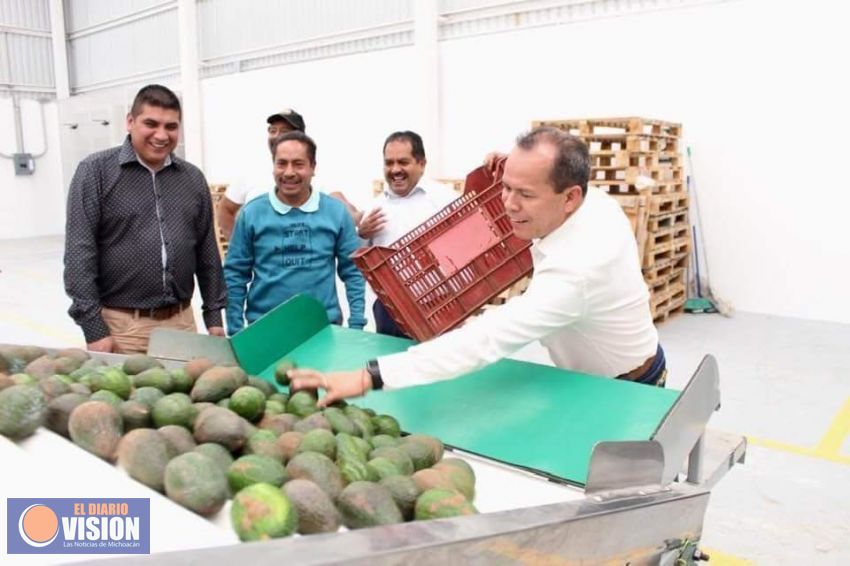 Nelson Villegas, supervisó la empacadora de aguacate “Comburinda” que será inaugurada 