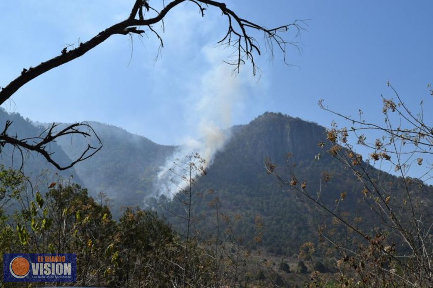 Exige Ernesto Núñez se investiguen causas del incendio forestal en Tuxpan