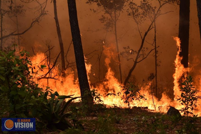 260 hectáreas de bosque de Jesús  y San Miguel del Monte resultaron afectadas por incendios 