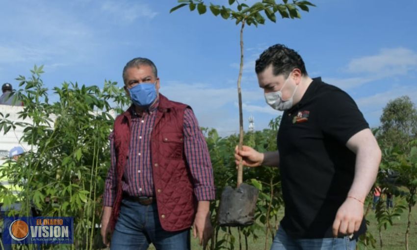 Arranca Raúl Morón primer reforestación urbana 2020, en colonia Francisco Zarco