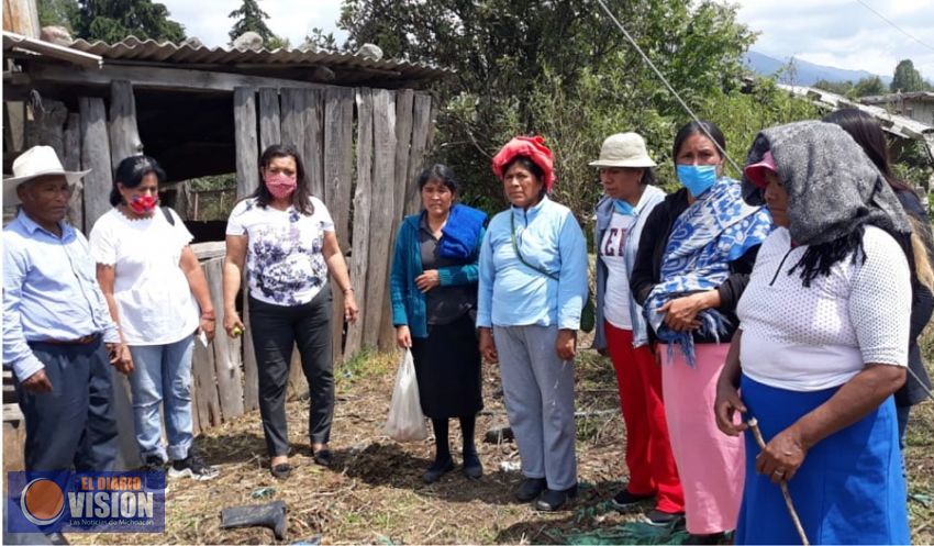 Incentivan el autoconsumo en localidades de Zitácuaro con huertos de traspatio 