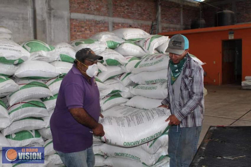 Ayuntamiento de Morelos, entregó Fertilizantes “Sulfato de amonio” a productores de maíz 