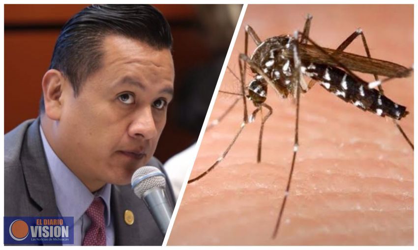 Urgente reforzar acciones de combate al dengue en municipios: Torres Piña
