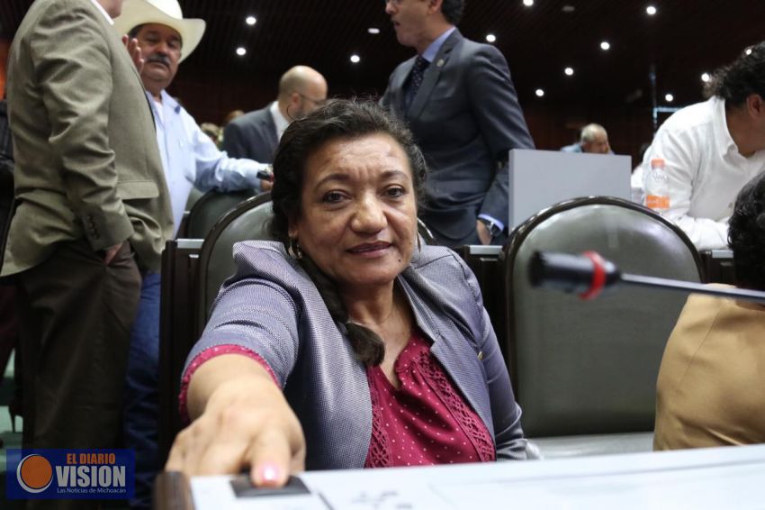 María Chávez presentará iniciativa para reforzar protección jurídica en actos de maltrato animal 