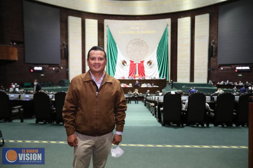 Avión presidencial, ícono de la corrupción del viejo régimen: Torres Piña