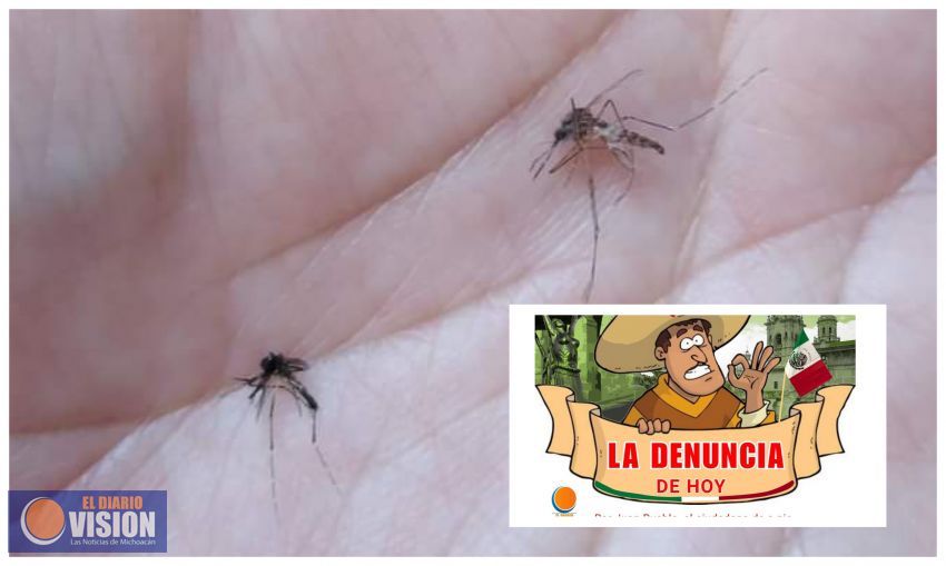 La denuncia ciudadana de hoy 