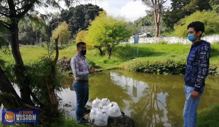 Gobierno de Zacapu, impulsa la pesca en las comunidades de Naranja y Tarejero 