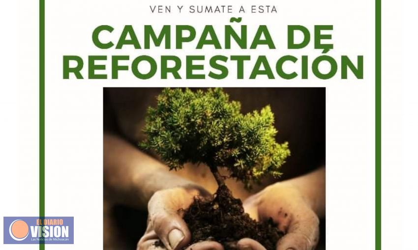 Realizará, Ayuntamiento de Erongaricuaro, campaña de reforestación 