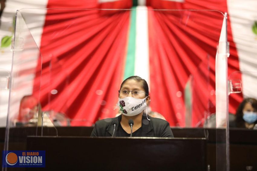 Propone Celeste Ascencio reforma para indagar en los antecedentes de l@s aspirantes a cargo público