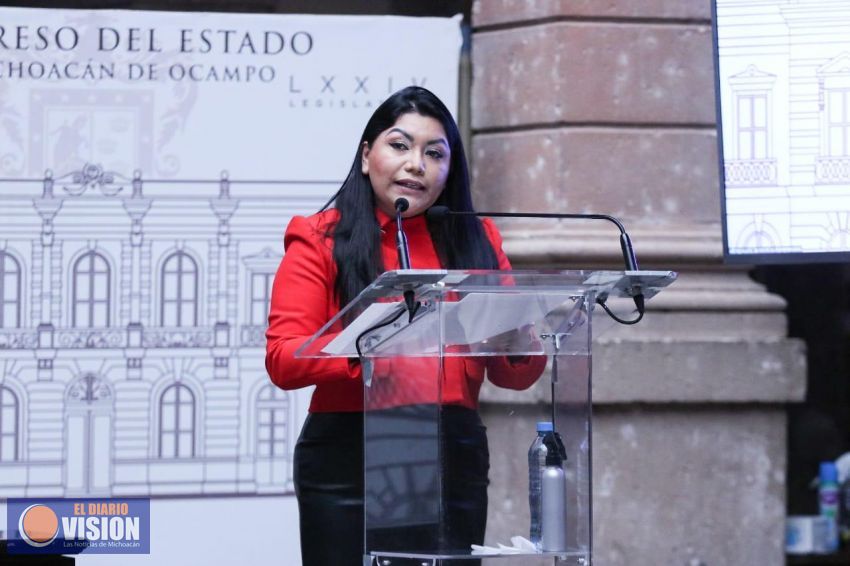 Congreso debe hacer contrapeso a la opacidad y la discrecionalidad, no ser comparsa: Brenda Fraga