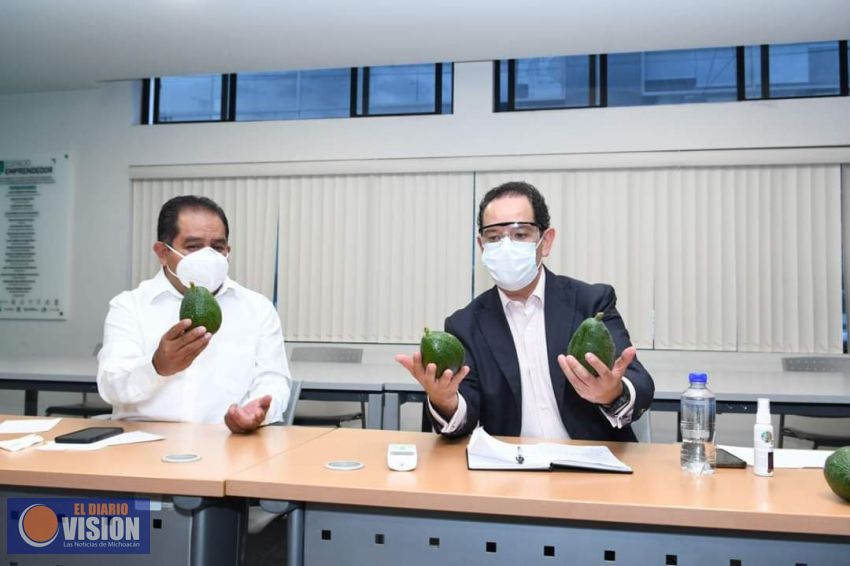 Lupillo Aguilera y Sedeco, desarrollarán la marca etiquetado y empaque de aguacate michoacano 