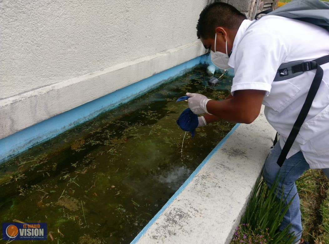 Gobierno de Morelia mantiene capacitaciones contra enfermedades por vector en el municipio
