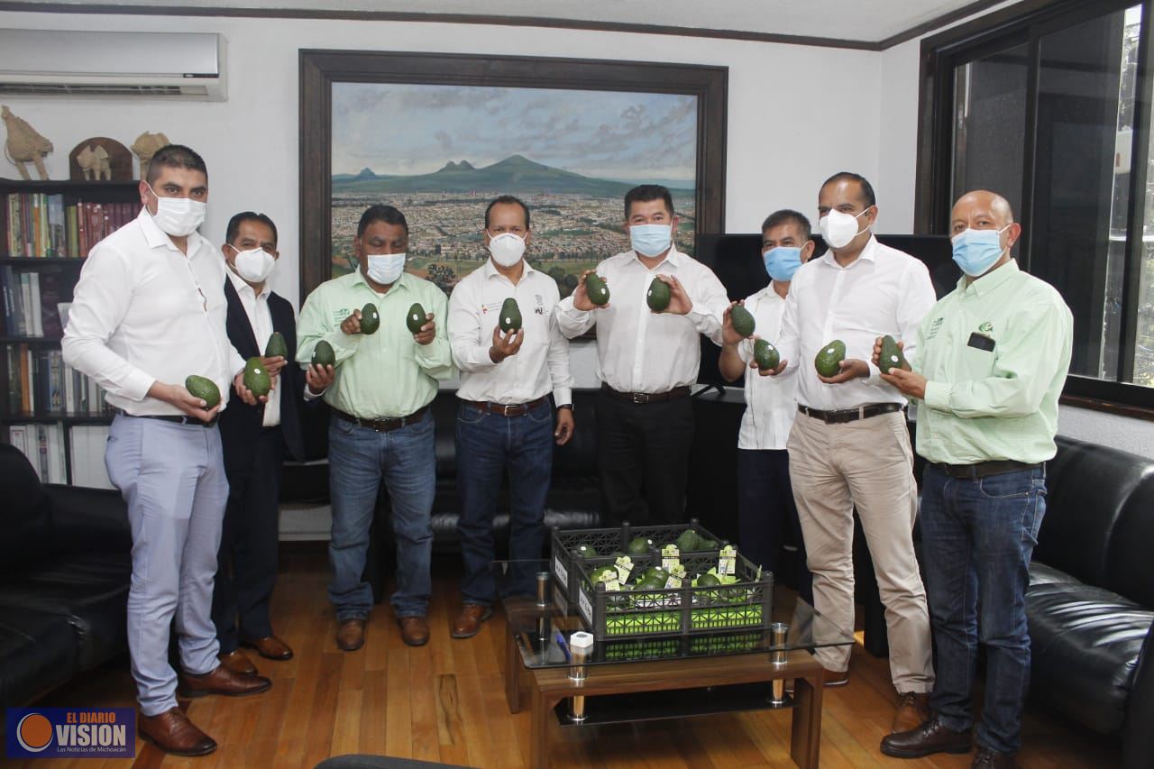 Lupillo Aguilera manifiesta respaldo a pequeños productores de aguacate de Tingambato
