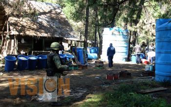 Más de una tonelada de droga asegurada en tres laboratorios