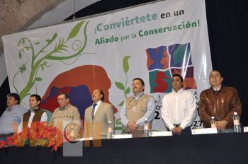 Alarmante pérdida de áreas verdes, animales y vegetales   