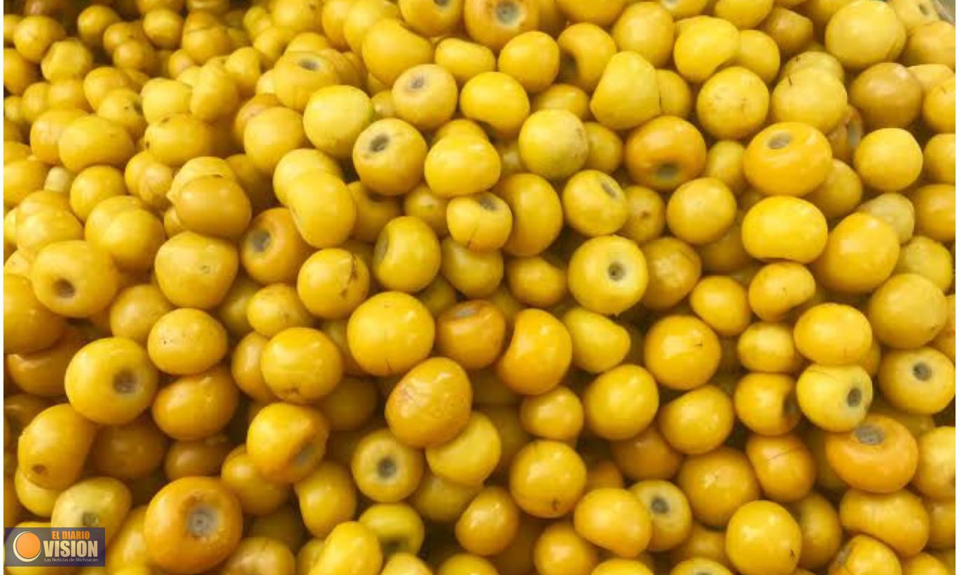 ¿Sabías que Michoacán es el 2do productor nacional de nanche?