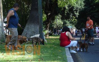 Domingos familiares, se ha convertido en centro canino 
