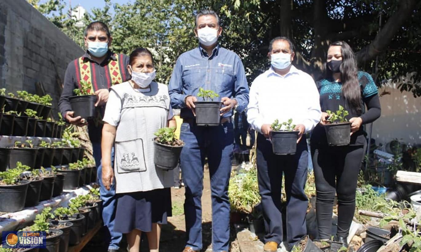 Entrega Lupillo Aguilera apoyos a productoras de geranio en Tingambato