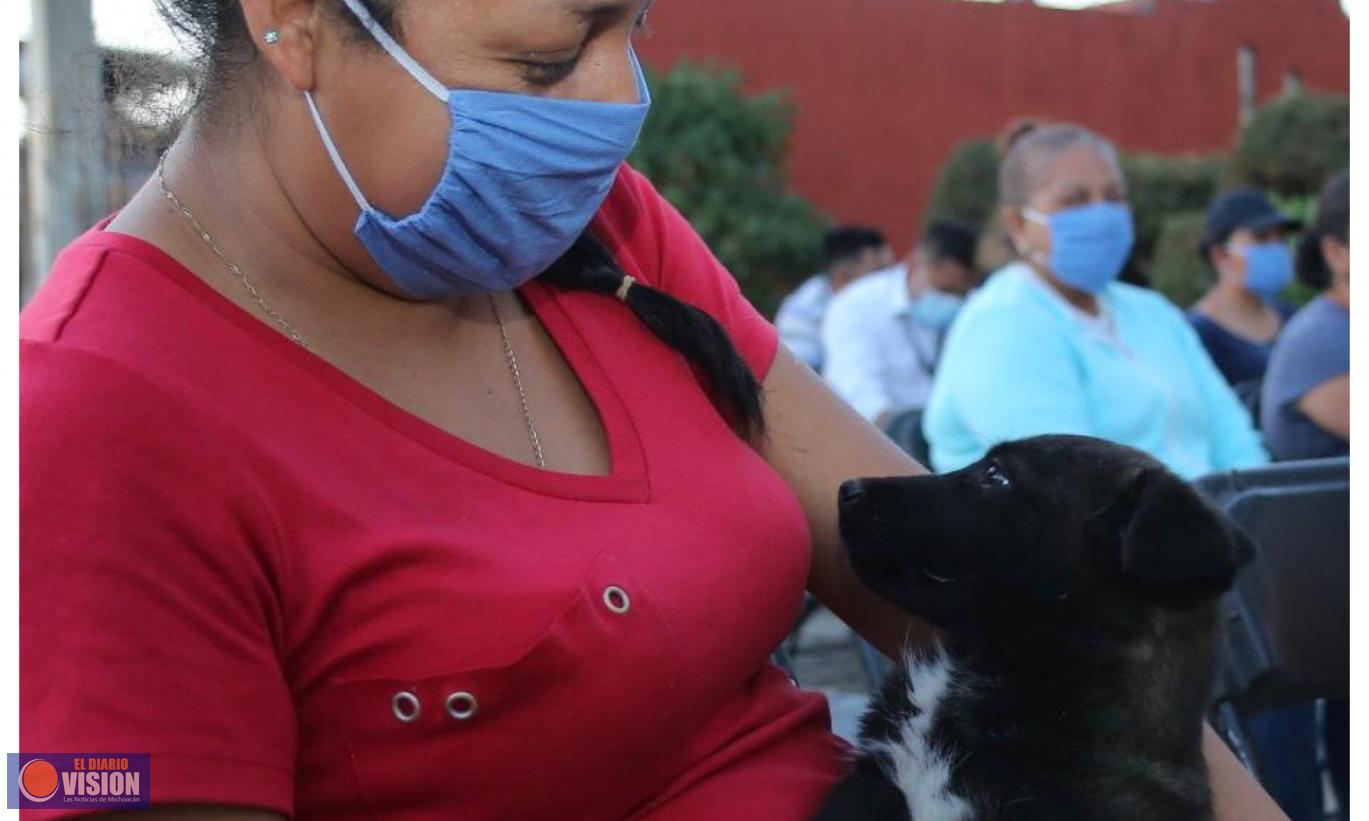 Inicia campaña gratuita para esterilización y vacunación canina y felina en Morelia 