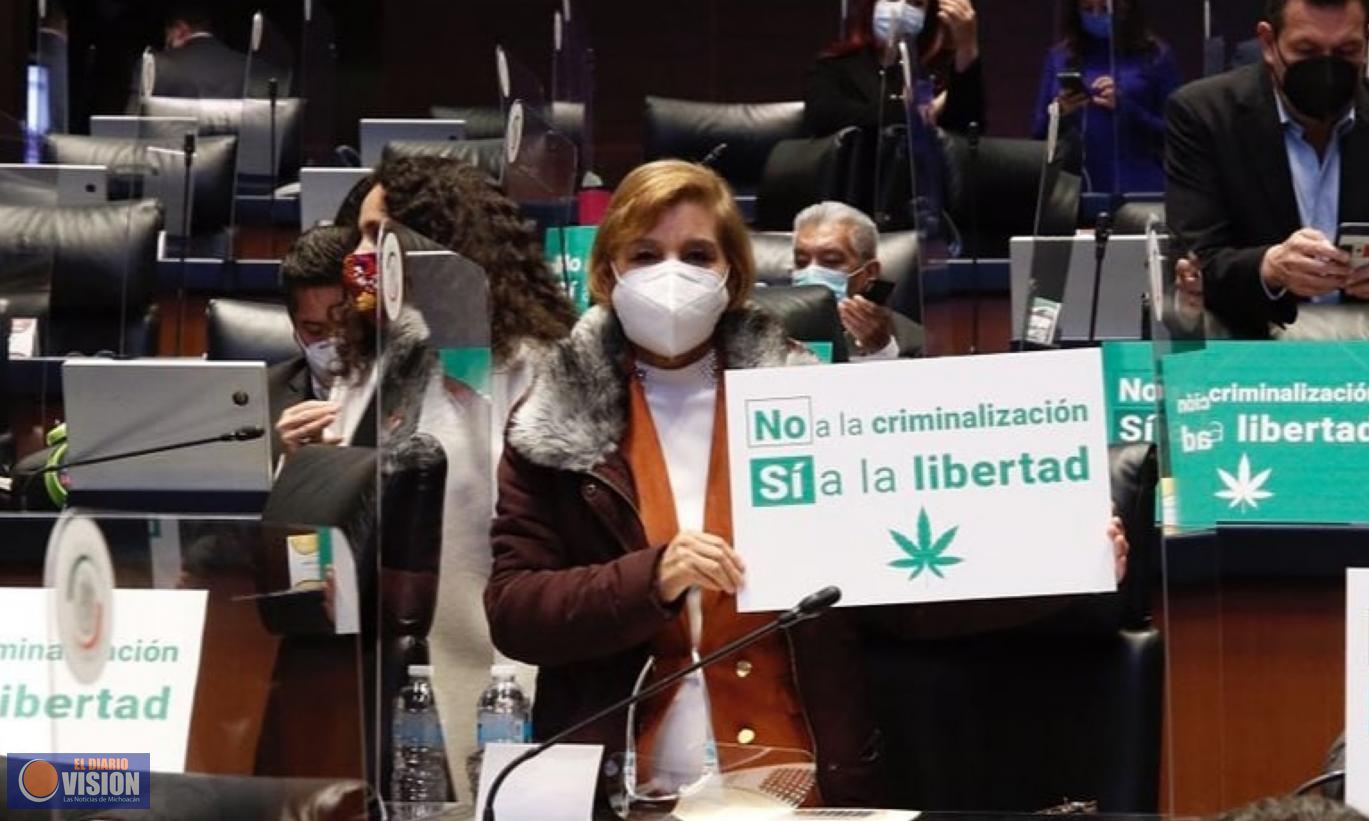Legalización de Cannabis favorece a campesinos, indígenas y usuarios: Blanca Piña