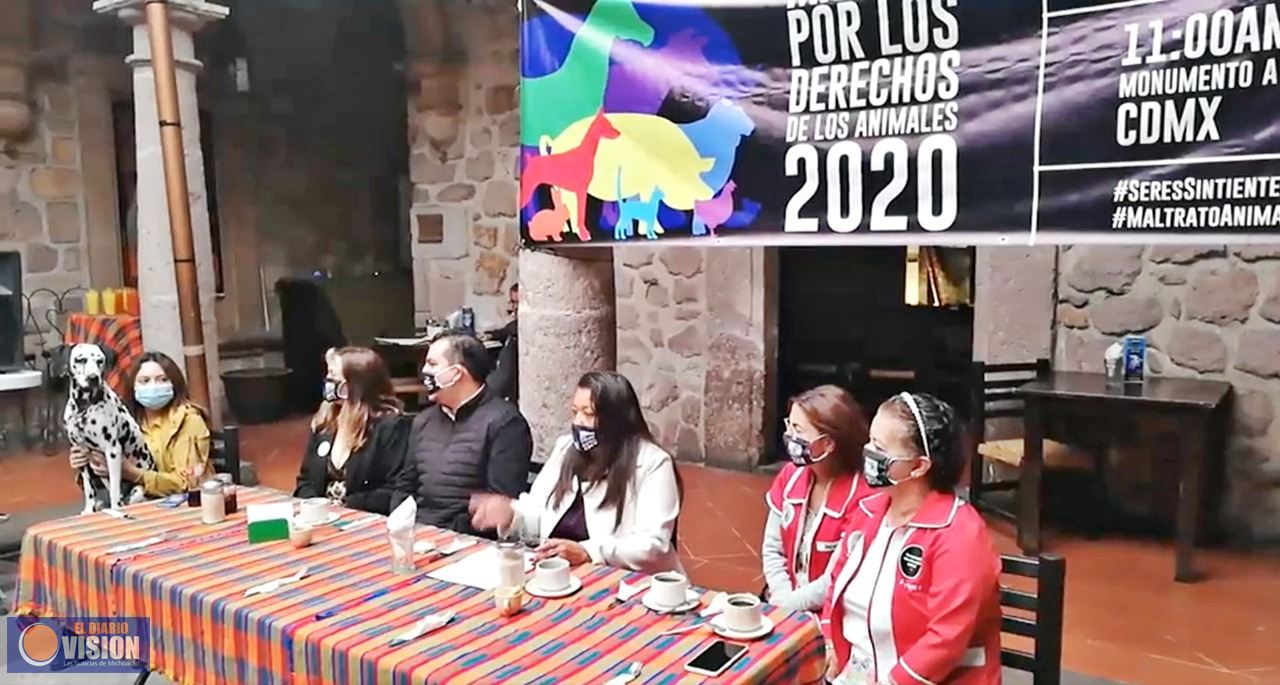 Ratifica María Chávez, será Ley, prisión por maltrato animal en México