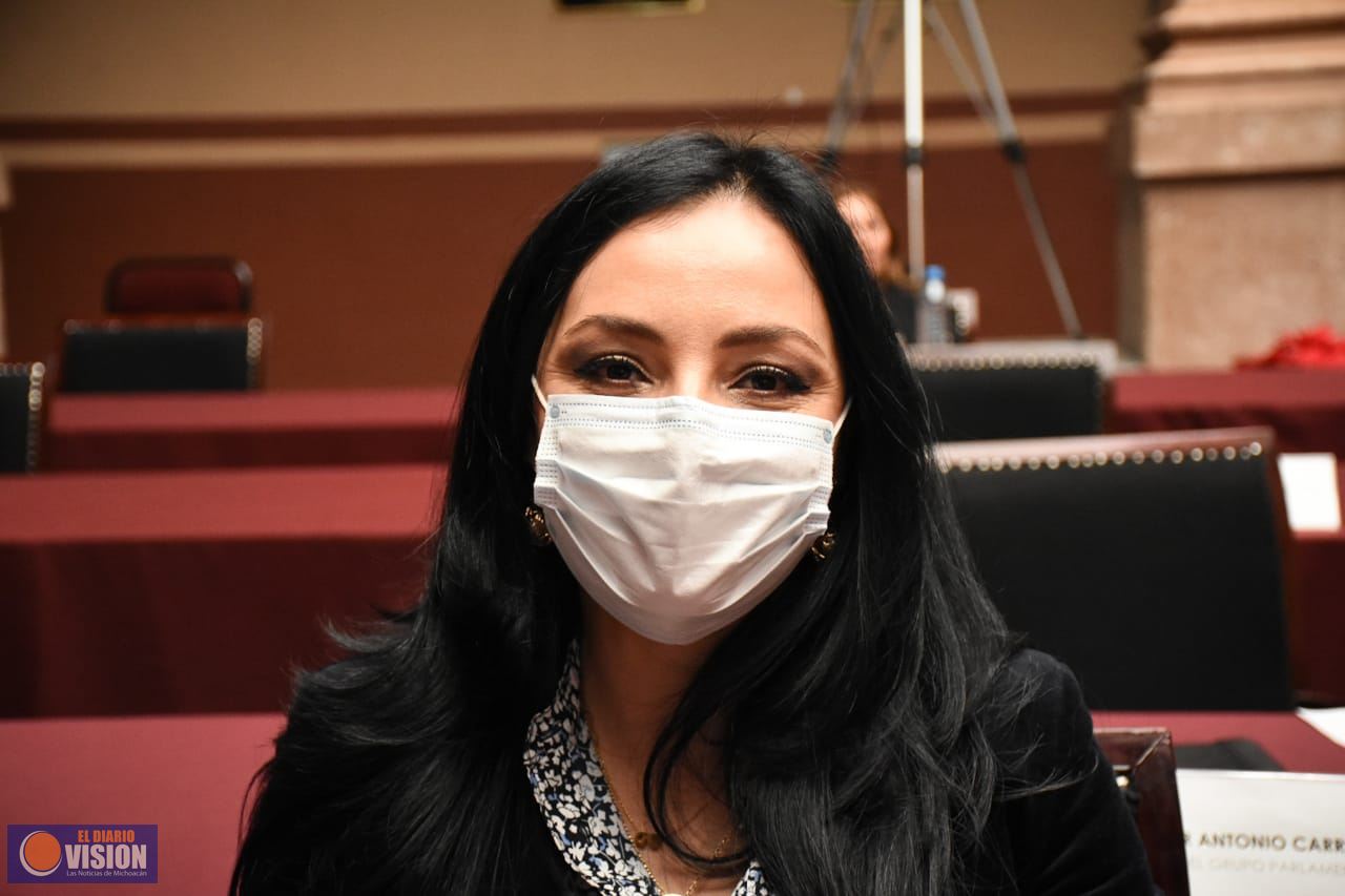 Solidaridad y apoyo para los  michoacanos: Adriana Hernández