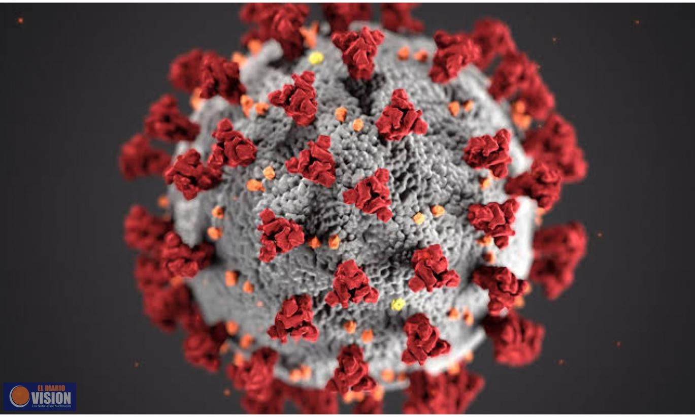 Investigan posible variante mexicana del coronavirus SARS-CoV-2
