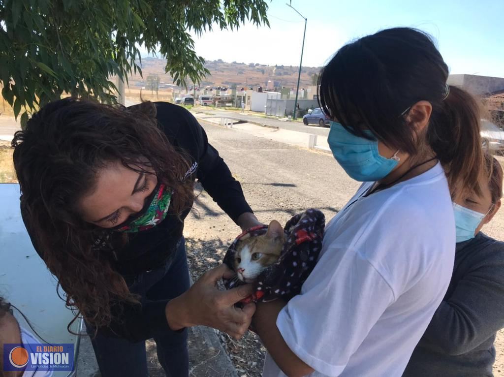 Acerca Gobierno Municipal servicios de salud animal a la Nueva Aldea II 