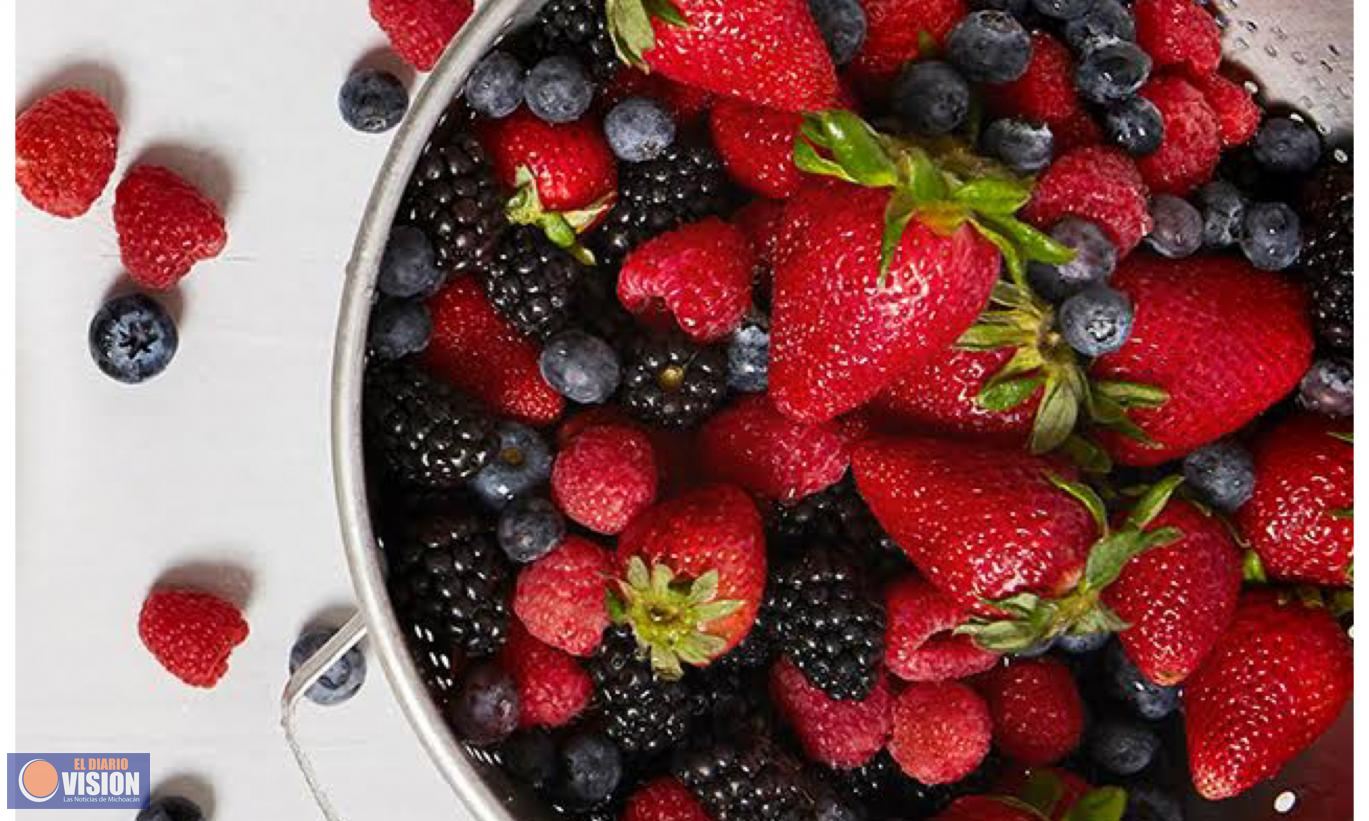 Michoacán produce más de 9.5 millones de toneladas de frutos