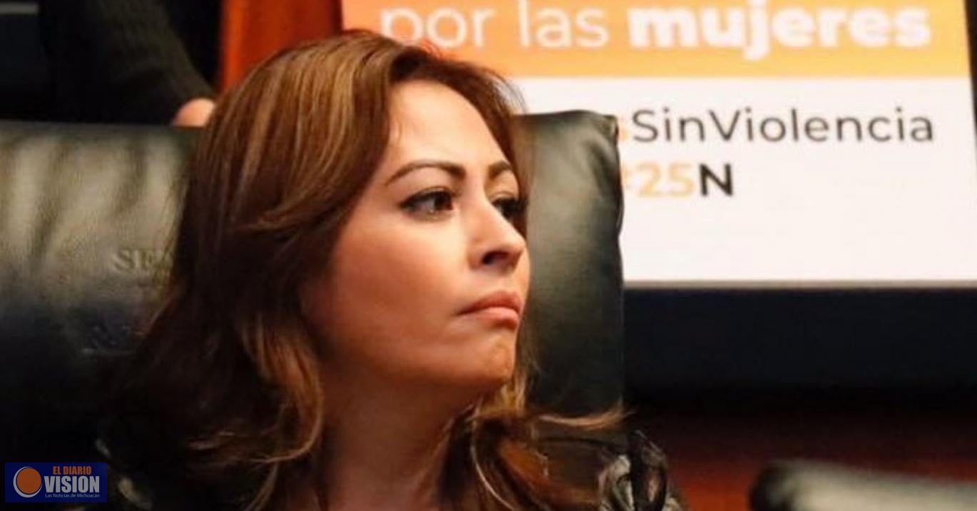 Morena debe sacar las manos de Fuerza por México, en Michoacán 