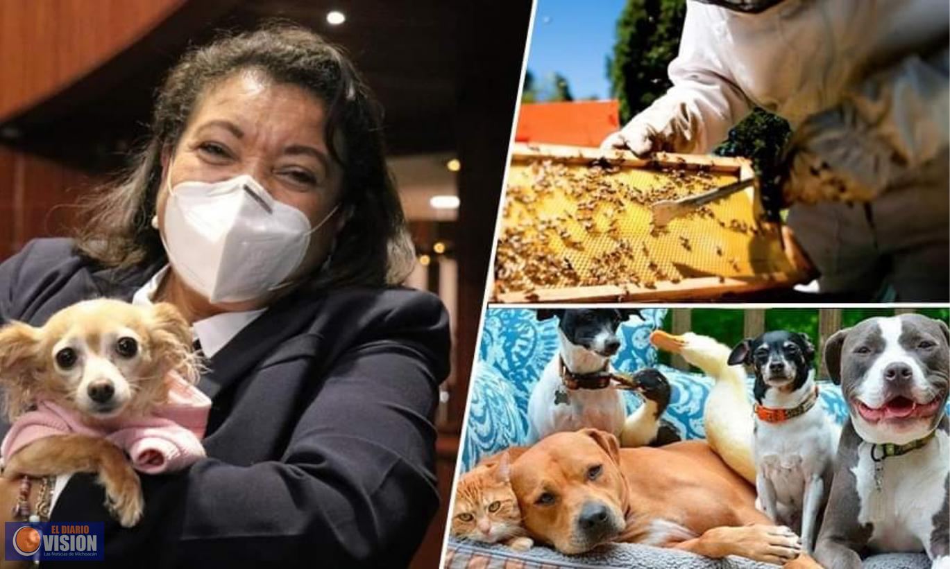María Chávez celebra la aprobación de dos iniciativas que impulsó desde el año pasado