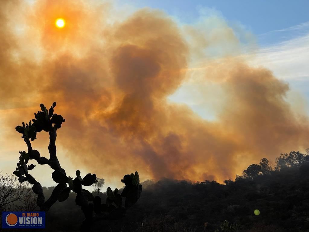 Controlado, el incendio en el Cerro el Punhuato